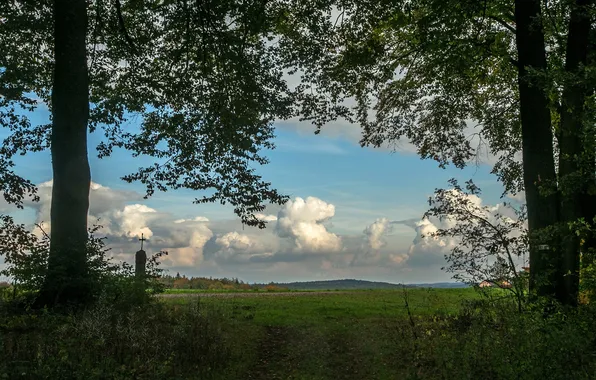 Picture the sky, grass, clouds, trees, branches, view, Germany, Bayern