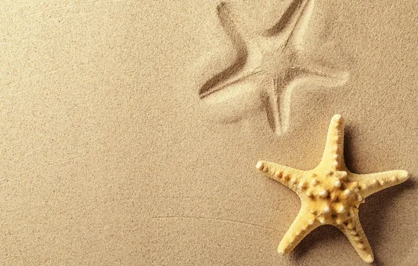 Sand, trail, starfish