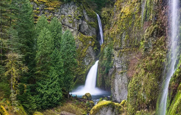 Trees, stones, rocks, waterfall, USA, Columbia River Gorge, wachlella if