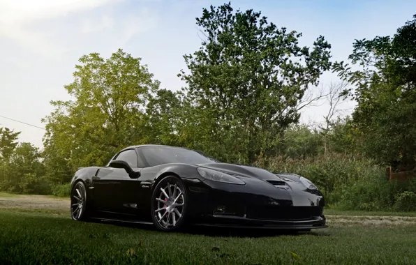 Picture wheels, corvette, chevrolet, z06, forged, strasse