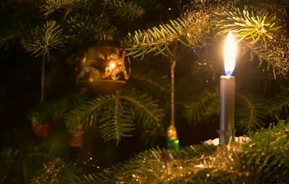 Picture heat, fire, toy, new year, candle, Tree, dangerous, candle on the Christmas tree