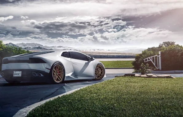 Lamborghini, Houston, Matte, Texas, Wheels, Rear, ADV.1, Huracan