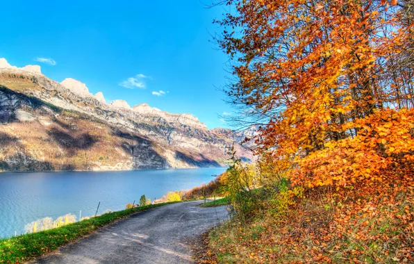 Road, autumn, the sky, leaves, trees, mountains, lake