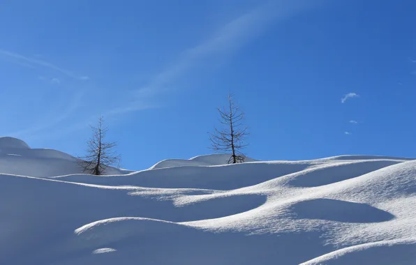 Picture winter, the sky, snow, hills, slope, tree