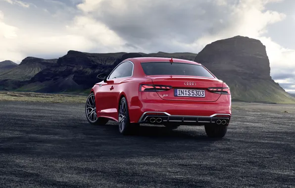 Audi, TDI, rear view, Coupe, Audi S5, 2020