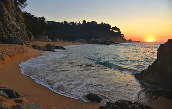 Sand, sea, beach, the sky, the sun, trees, stones, rocks