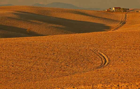 Picture field, autumn, hills, Italy, Tuscany, Orciano Pisano