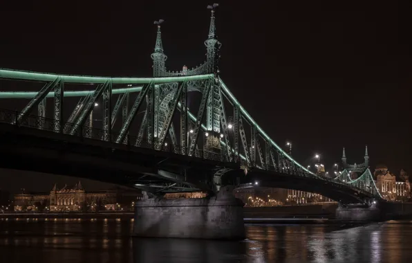 Night, river, Hungary, Budapest, The Danube, Liberty Bridge