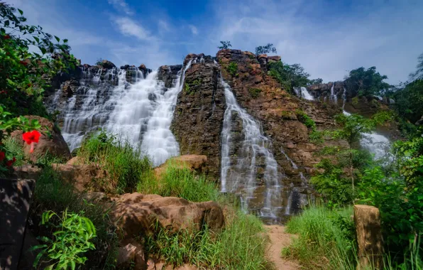 Picture greens, summer, the sky, grass, water, flowers, mountains, blue