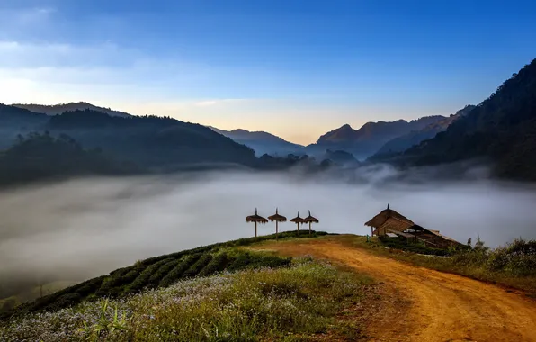 Road, landscape, mountains