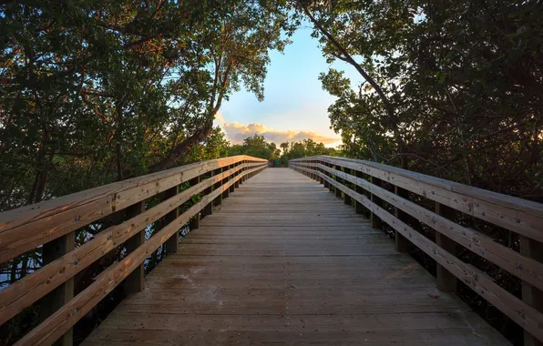 Landscape, bridge, river