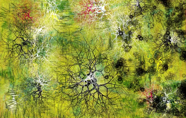 Abstraction, color, form