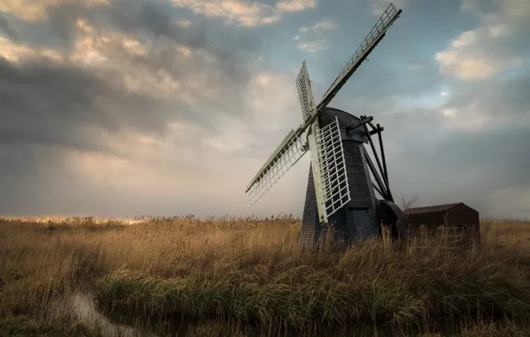 Field, autumn, the sky, grass, clouds, nature, stream, overcast