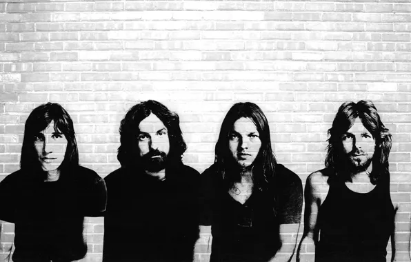 Wall, Pink Floyd, stencil, cult group