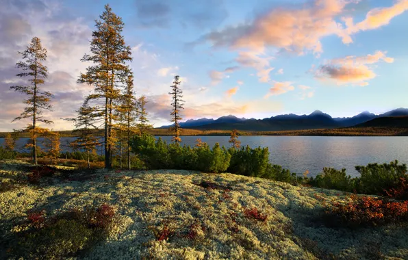 The sky, clouds, trees, lake, evening