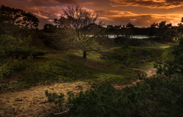 Landscape, sunset, nature