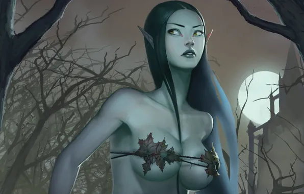 Erotic, chest, look, night, the moon, hair, art, elf