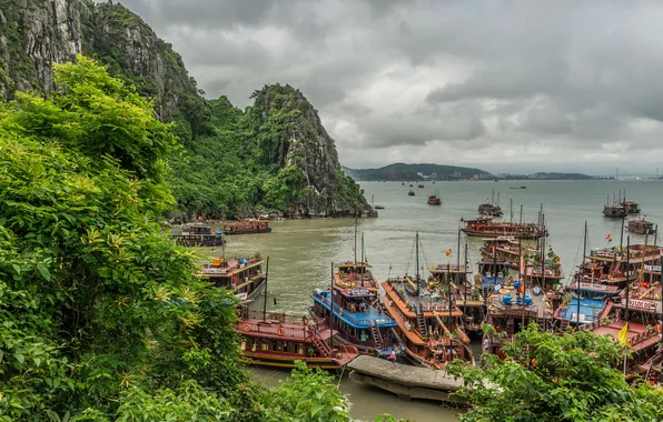 Sea, the sky, trees, mountains, clouds, boat, ship, Vietnam