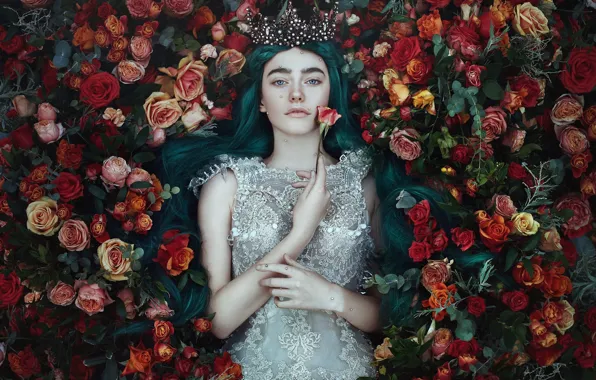 Picture look, girl, flowers, style, mood, roses, crown, dress