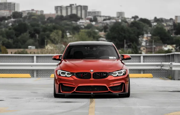 Picture BMW, Light, Predator, RED, Face, F80, Sight, Front