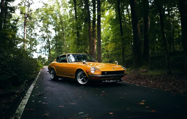 Wheels, yellow, Datsun, 240Z, hrome