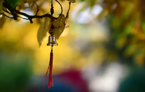 Picture background, color, bell