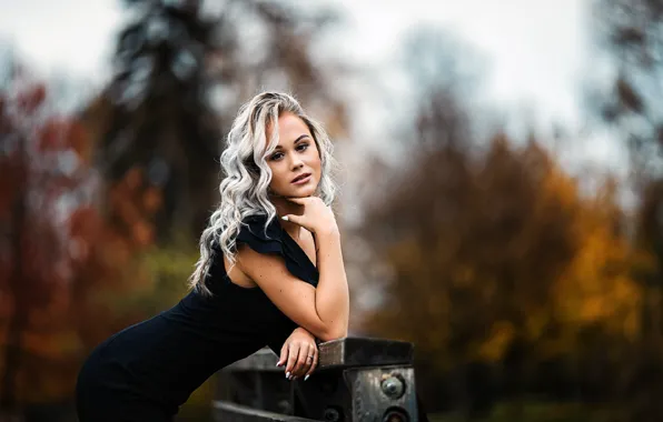 Picture autumn, girl, hair, dress, beauty, Libor Pawlas