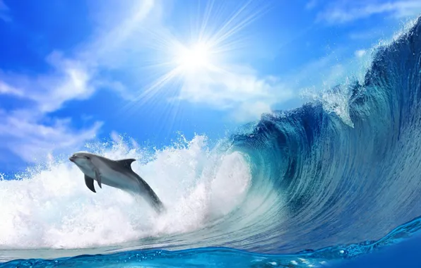 Picture The OCEAN, The SKY, The SUN, WAVE, RAYS, FOAM, FISHING, DOLPHIN