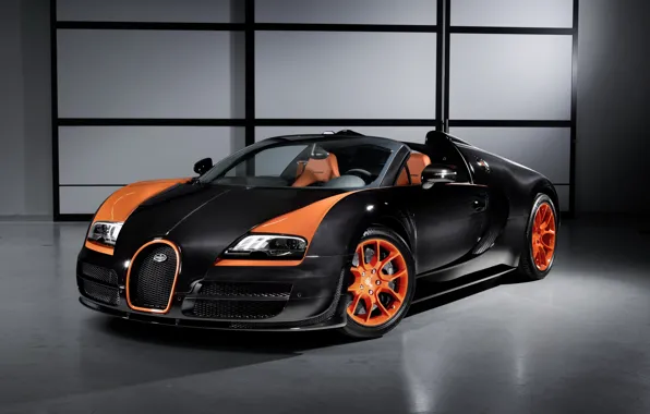 Picture Roadster, Veyron, Grand Sport, 2013, "Speed"