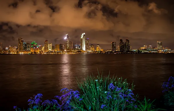 Picture night, the city, San Diego