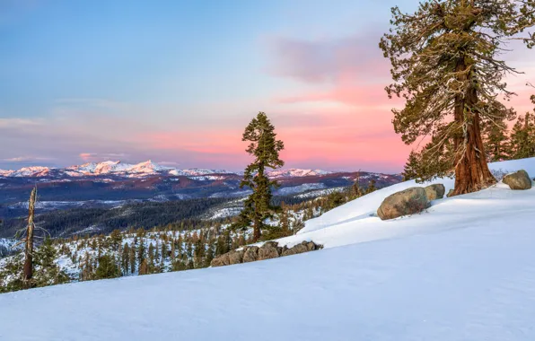 Winter, forest, the sky, clouds, snow, trees, mountains, stones
