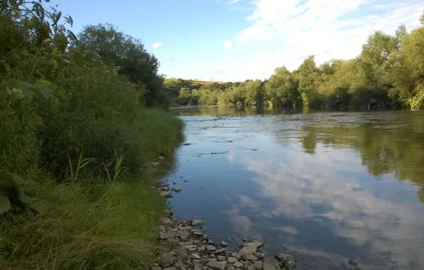 River, Forest, Carpathians