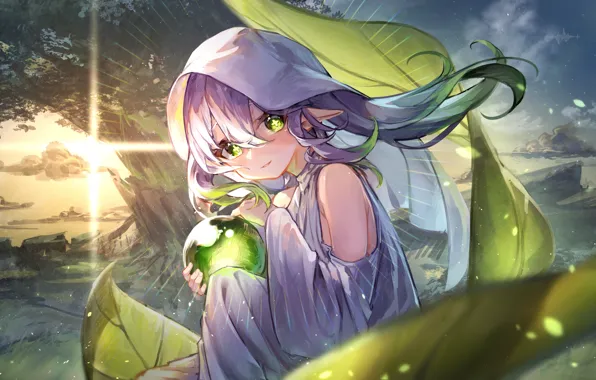 Picture leaves, girl, the sun, nature, balls, elf, Genshin Impact, Nahida