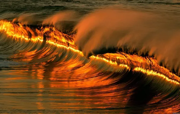 The sun, sunset, the ocean, wave, gold, the reflection, tide