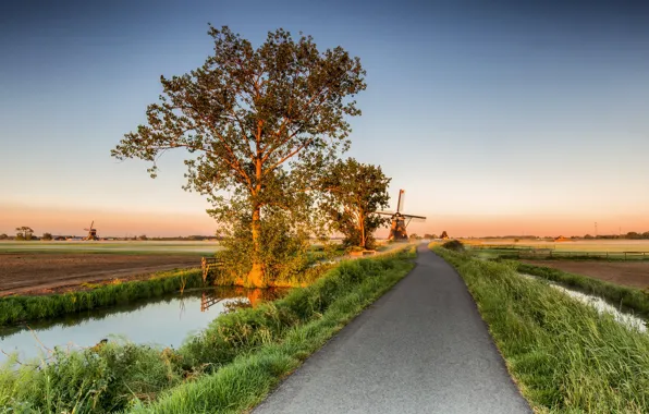 Road, trees, mill, Netherlands, Regions