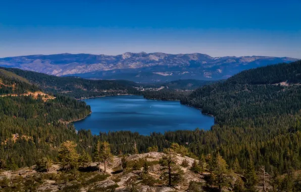 Picture forest, mountains, CA, Donner lake