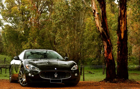Nature, Maserati, Granturismo