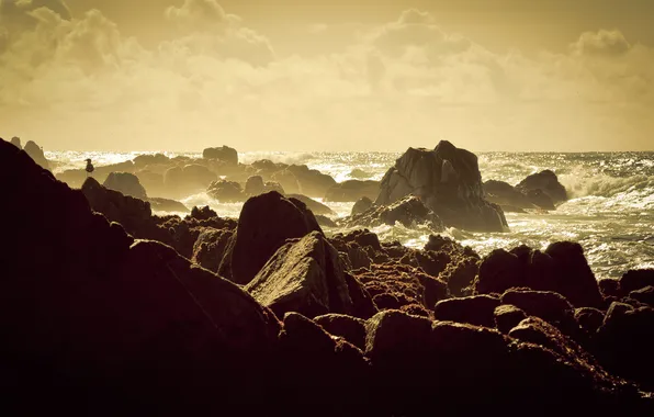 Sea, wave, the sky, water, clouds, birds, rock, stones