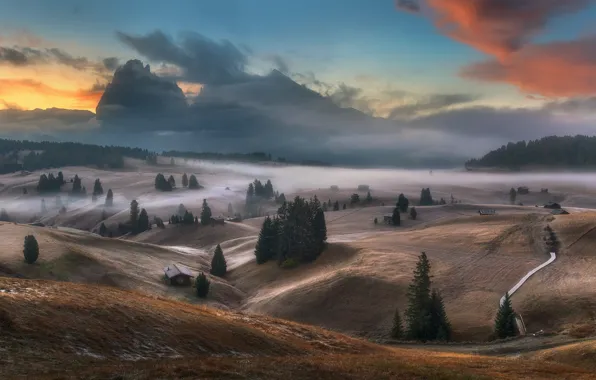 Autumn, forest, fog, field, morning, Alps, houses