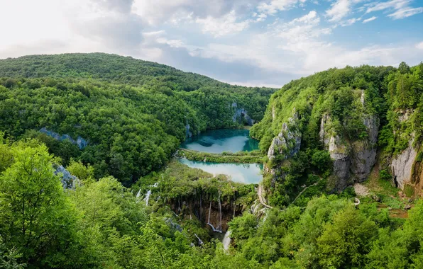 Greens, forest, the sky, clouds, mountains, lake, rocks, thickets