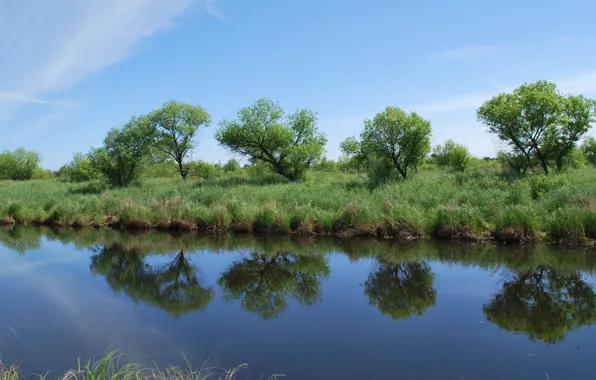 Picture the sky, grass, lake