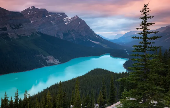 Picture forest, the sky, clouds, trees, mountains, nature, lake, rocks