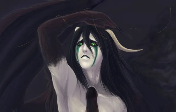 Look, being, art, guy, Bleach, Bleach, arancar, Ulquiorra Schiffer