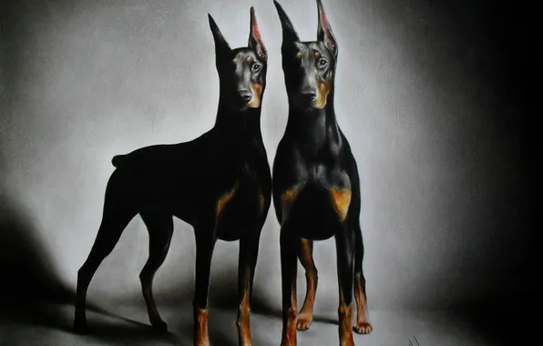 Picture graphics, painting, brothers, Alex, Dobermans