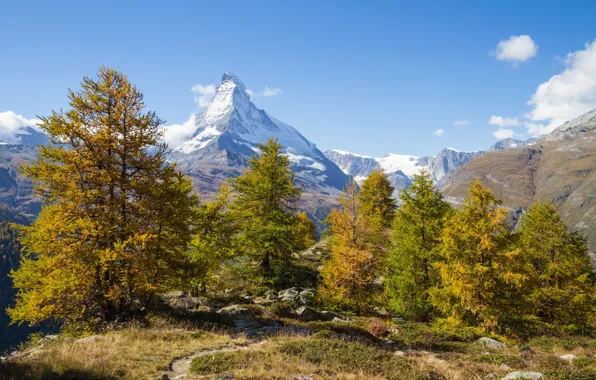 Autumn, trees, mountains, Switzerland, Switzerland, Canton of Valais, Findeln