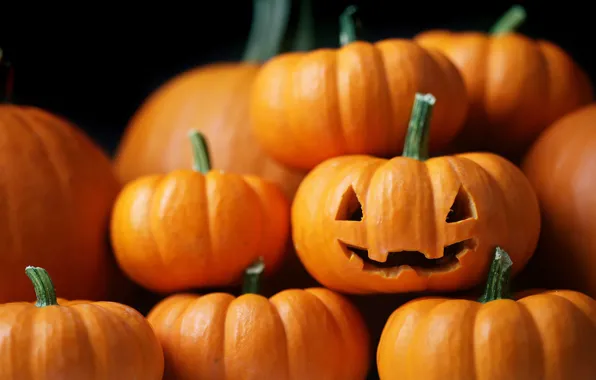 Picture lantern, pumpkin, Halloween