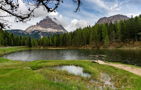 Forest, grass, mountains, lake, shore, ate, meadow, the bridge