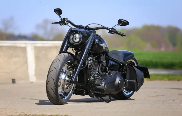 Motorcycle, bike, Harley Davidson, thunderbike customs