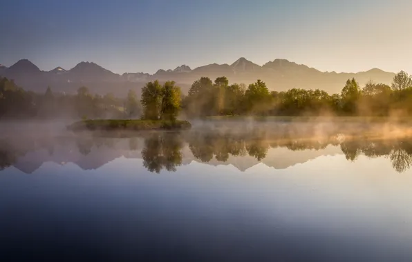 Picture forest, trees, mountains, lake, morning, haze