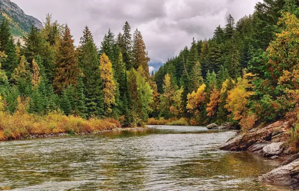 Autumn, forest, the sky, landscape, nature, river, beauty